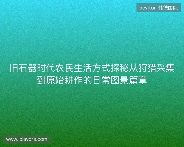 旧石器时代农民生活方式探秘从狩猎采集到原始耕作的日常图景篇章